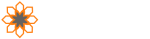 Stichting Destek